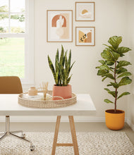 Load image into Gallery viewer, Sunset