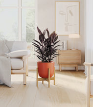 Load image into Gallery viewer, Earth Red stand:bamboo