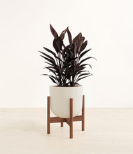 Load image into Gallery viewer, Natural Bamboo stand:walnut