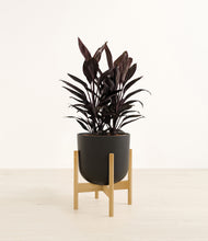 Load image into Gallery viewer, Stone Black stand:bamboo