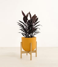 Load image into Gallery viewer, Sunset Orange stand:bamboo