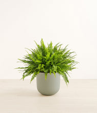 Lade das Bild in den Galerie-Viewer, Sage Green*****Profile