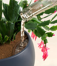 Load image into Gallery viewer, -