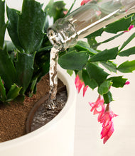 Load image into Gallery viewer, -