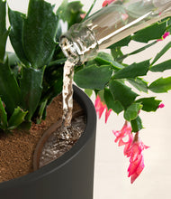 Load image into Gallery viewer, -