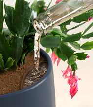 Load image into Gallery viewer, -