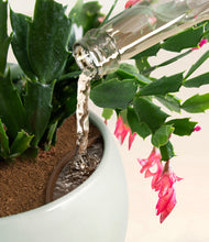 Load image into Gallery viewer, -