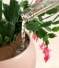 Load image into Gallery viewer, -