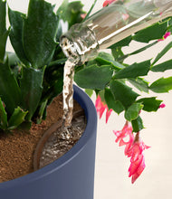 Load image into Gallery viewer, -