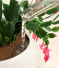 Load image into Gallery viewer, -