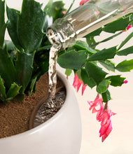 Load image into Gallery viewer, -