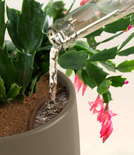 Load image into Gallery viewer, -