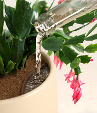 Load image into Gallery viewer, -