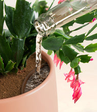 Load image into Gallery viewer, -