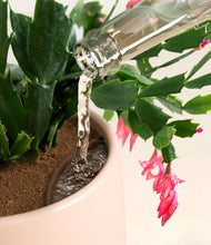 Load image into Gallery viewer, -