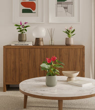 Load image into Gallery viewer, Earthy