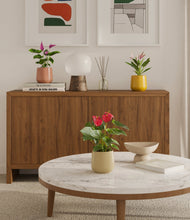 Load image into Gallery viewer, Evening Sky