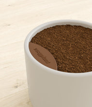 Load image into Gallery viewer, -