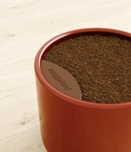 Load image into Gallery viewer, -