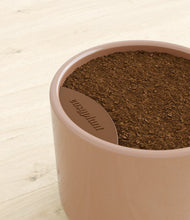 Load image into Gallery viewer, -