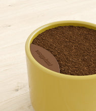 Load image into Gallery viewer, -