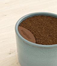 Load image into Gallery viewer, -