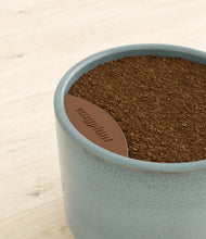 Load image into Gallery viewer, -