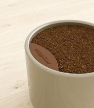 Load image into Gallery viewer, -