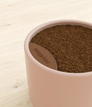 Charger l'image dans la galerie, Sandy Pink stand:all