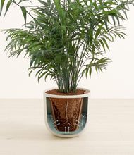 Lade das Bild in den Galerie-Viewer, Natural Bamboo stand:all