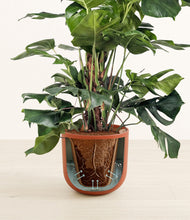 Lade das Bild in den Galerie-Viewer, Earth Red stand:all