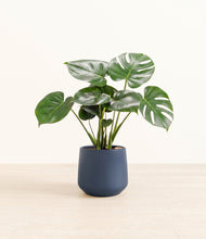 Lade das Bild in den Galerie-Viewer, Deep Navy*****Profile