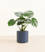 Lade das Bild in den Galerie-Viewer, Deep Navy*****Profile