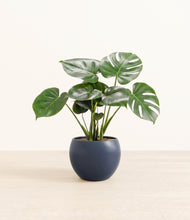Lade das Bild in den Galerie-Viewer, Deep Navy*****Profile