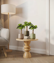 Load image into Gallery viewer, Earthy