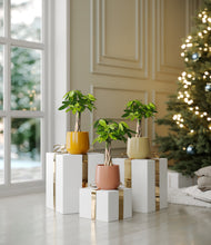 Load image into Gallery viewer, Evening Sky