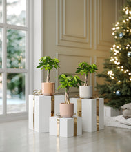 Load image into Gallery viewer, Peach Blossom