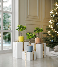 Load image into Gallery viewer, Pixie Petals