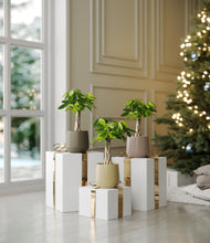 Load image into Gallery viewer, Woodland