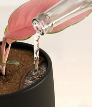 Load image into Gallery viewer, Black stand:all