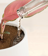 Load image into Gallery viewer, White stand:all