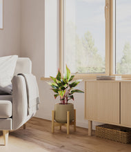 Load image into Gallery viewer, Olive stand:bamboo