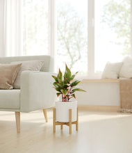 Load image into Gallery viewer, White stand:bamboo