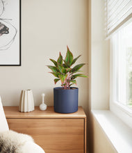 Load image into Gallery viewer, Deep Navy