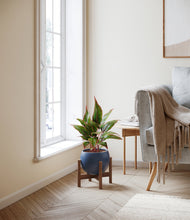 Load image into Gallery viewer, Deep Navy stand:walnut