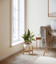 Load image into Gallery viewer, Shiny EggWhite stand:bamboo