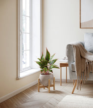 Load image into Gallery viewer, Desert Brown stand:bamboo