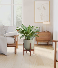 Load image into Gallery viewer, Sage Green stand:walnut