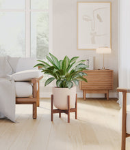 Load image into Gallery viewer, Sandy Pink stand:walnut
