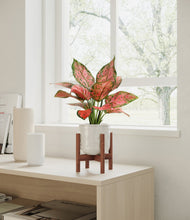 Load image into Gallery viewer, Hammered Ivory stand:walnut